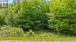 00 MAPLE STREET Lanark Highlands, ON K0G 1M0