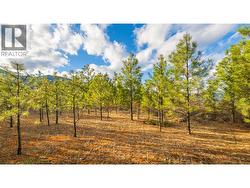 2075 Highland Crescent Creston, BC V0B 1G7