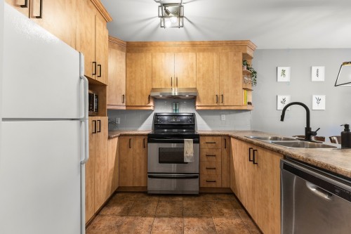 Kitchen - 201-3964 Rue Bannantyne, Montréal (Verdun/Île-Des-Soeurs), QC - Indoor Photo Showing Kitchen With Double Sink