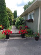 Exterior - 