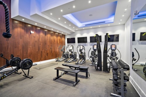 Exercise Room - 1704-1188 Av. Union, Montréal (Ville-Marie), QC - Indoor Photo Showing Gym Room