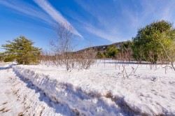 2-16 Ch. du Tournesol Notre-Dame-Du-Laus, QC J0X 2M0