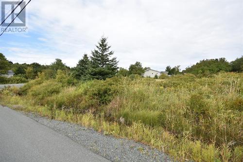 77-79 Anchorage Road, Conception Bay South, NL 