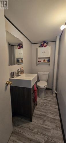 98 Main Road, Brookside, NL - Indoor Photo Showing Bathroom