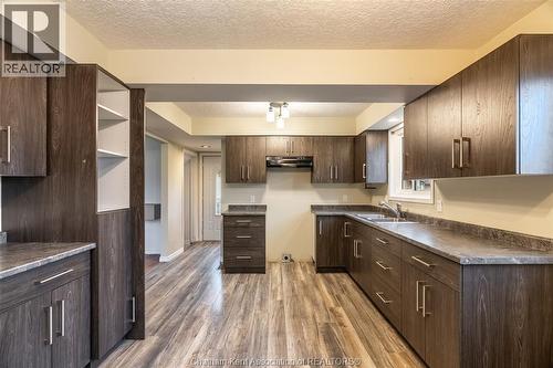 164 Timmins Crescent, Chatham, ON - Indoor Photo Showing Kitchen With Double Sink