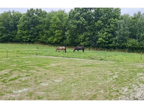 129 Phillips Rd, Charters Settlement, NB 