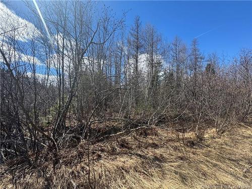 00 Dickson Rd, Lawrence Station, NB 