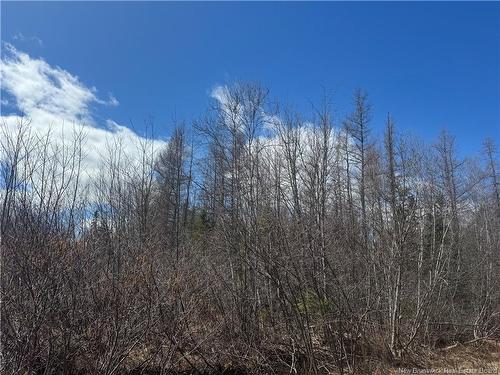 00 Dickson Rd, Lawrence Station, NB 