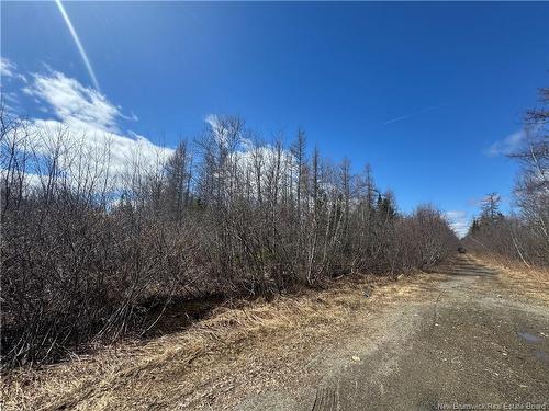 00 Dickson Rd, Lawrence Station, NB 