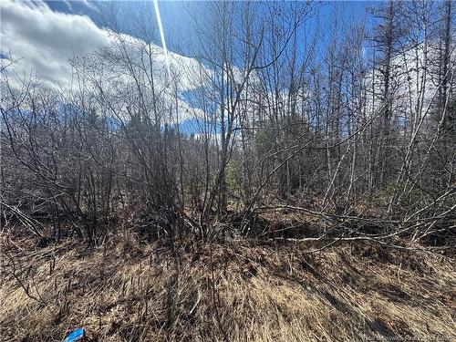 00 Dickson Rd, Lawrence Station, NB 
