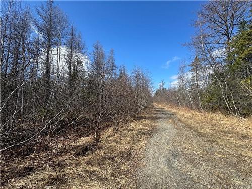 00 Dickson Rd, Lawrence Station, NB 
