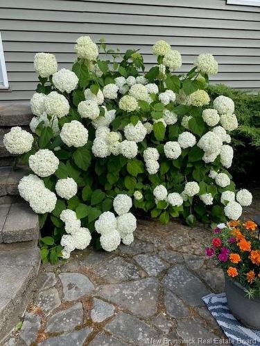 119 Stanley St, Fredericton, NB 