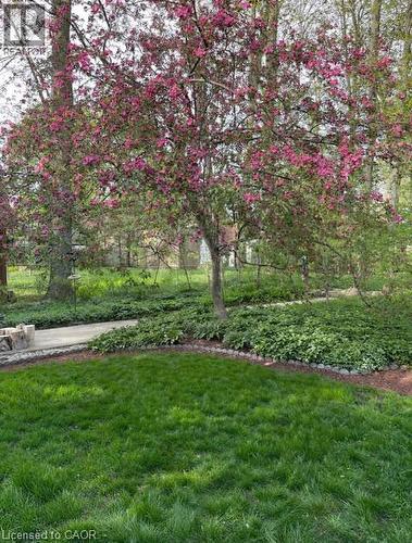 564 Glen Manor Boulevard, Waterloo, ON - Outdoor