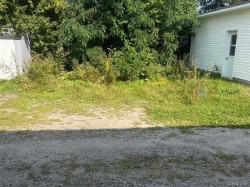 Lot - 