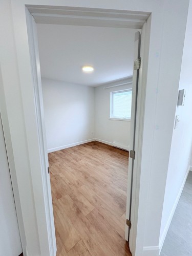 Chambre à coucher - 7935 Rue Bonnier, Montréal (Lasalle), QC - Indoor Photo Showing Other Room