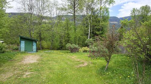 3782 River Drive, Blue River, BC - Outdoor