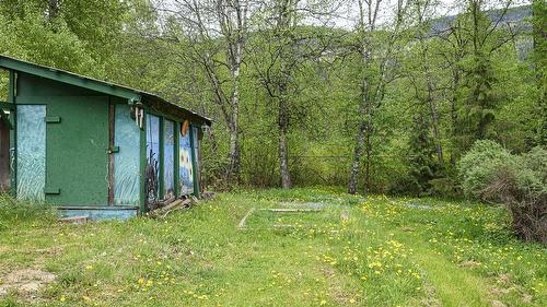 3782 River Drive, Blue River, BC - Outdoor