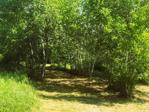 392 Island Road, Malagash, NS 