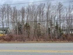 Lot C Highway 214  Nine Mile River, NS B2S 2R4
