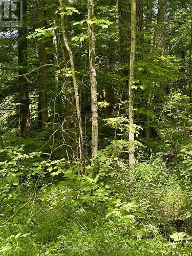 0 Maple Grove Lane E, Frontenac (Frontenac South), ON 