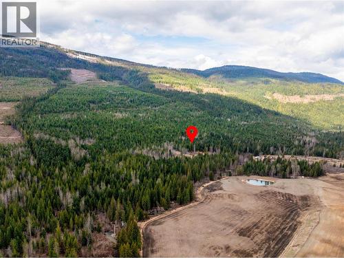 2410 Trinity Valley Road, Enderby, BC - Outdoor With View