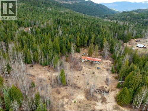 2410 Trinity Valley Road, Enderby, BC - Outdoor With View