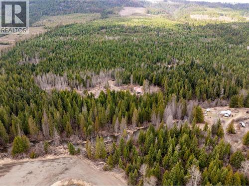 2410 Trinity Valley Road, Enderby, BC - Outdoor With View