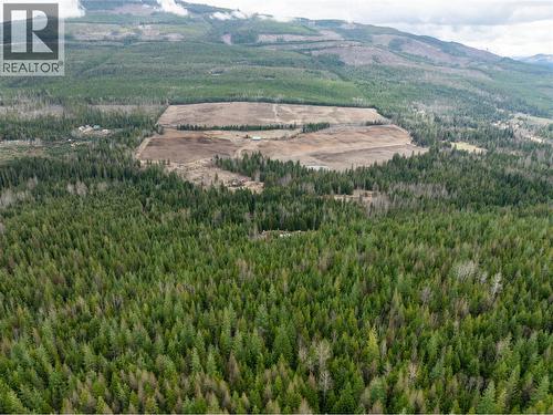 2410 Trinity Valley Road, Enderby, BC - Outdoor With View