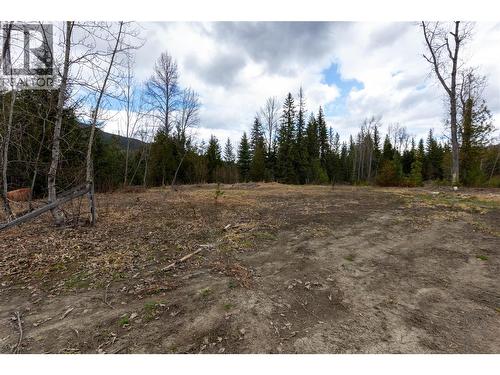 2410 Trinity Valley Road, Enderby, BC - Outdoor With View