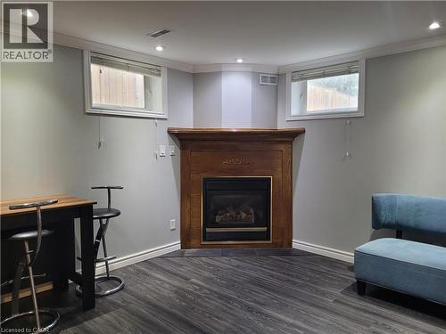 52 Kittyhawk Drive Unit# Lower, Hamilton, ON - Indoor With Fireplace