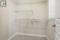 Walk in closet with light colored carpet - 