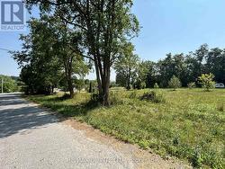 19 BRIDGE STREET Tyendinaga (Tyendinaga Township), ON K0K 2N0