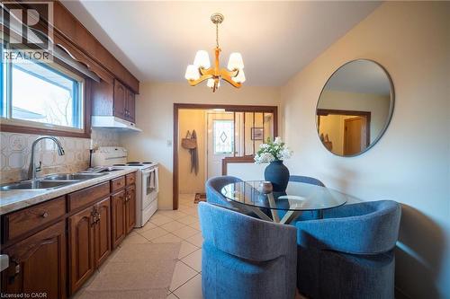 31 Terrace Drive, Hamilton, ON - Indoor Photo Showing Kitchen With Double Sink