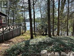 1091 NORTH TOOKE LAKE ROAD Lake Of Bays (Mclean), ON P0B 1A0