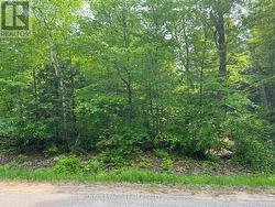 387 SUNNY HILL ROAD Madawaska Valley, ON K0J 1B0