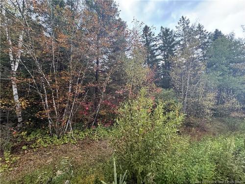 - Salem Rd, Havelock, NB 