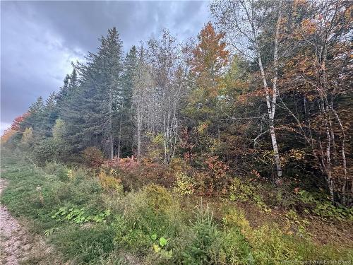 - Salem Rd, Havelock, NB 