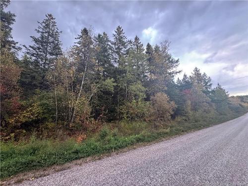 - Salem Rd, Havelock, NB 