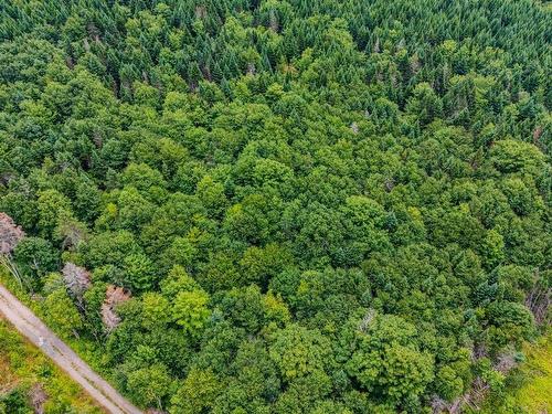676 Westchester Road, Sutherland Lake, NS 