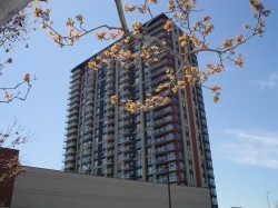 2208-15 Boul. La Fayette Longueuil (Le Vieux-Longueuil), QC J4K 0B2