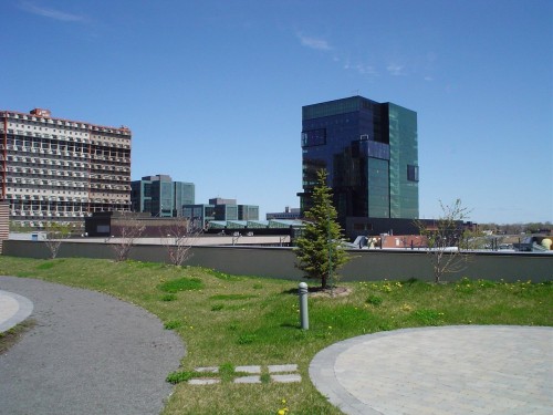 Courtyard - 2208-15 Boul. La Fayette, Longueuil (Le Vieux-Longueuil), QC - Outdoor