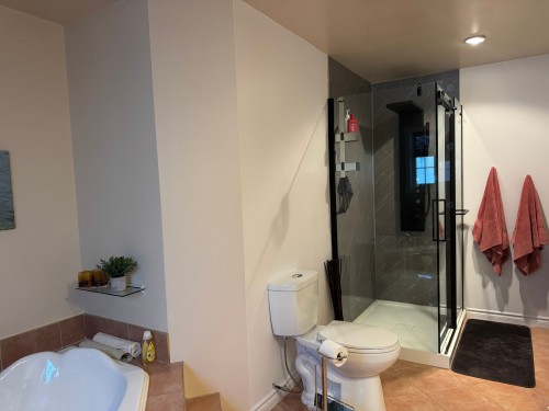 Salle de bains - 852 Ch. Des Merles, Rapide-Danseur, QC - Indoor Photo Showing Bathroom