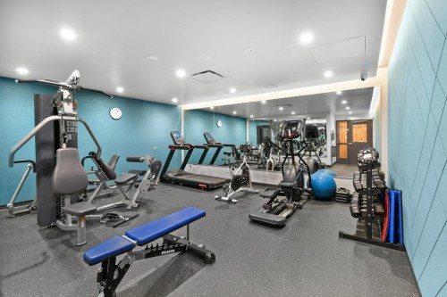 Salle d'exercice - 703-3 Boul. Simard, Saint-Lambert, QC - Indoor Photo Showing Gym Room