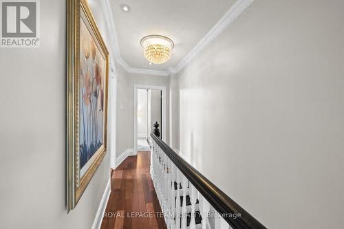 529 Mcleod Street, Ottawa, ON - Indoor Photo Showing Other Room