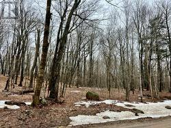 0 15TH/16TH SIDE ROAD Magnetawan, ON P0A 1P0