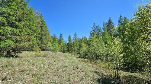 Lot E St. Mary Lake Road, Kimberley, BC - Outdoor
