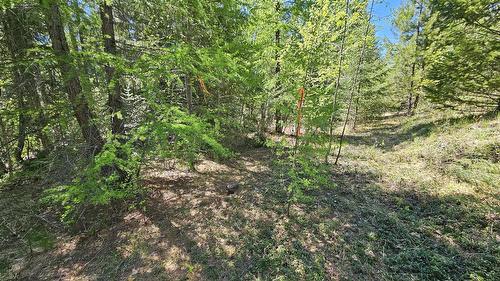 Lot E St. Mary Lake Road, Kimberley, BC - Outdoor