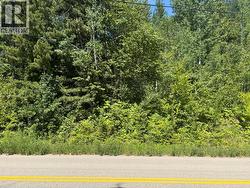 Lot 68 Squilax-Anglemont Road St. Ives, BC V0E 1M9