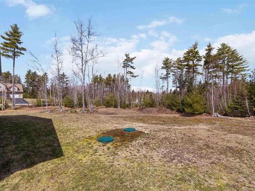 60 Danica Drive, Pine Grove, NS 