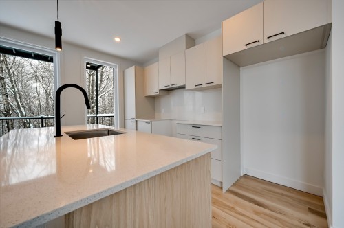 Kitchen - 74 Rue De L'Hibiscus, Granby, QC - Indoor Photo Showing Kitchen